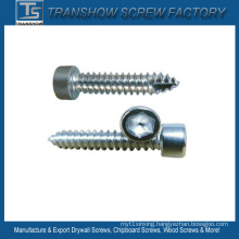 Carbon Steel Socket Head Self Tapping Screws